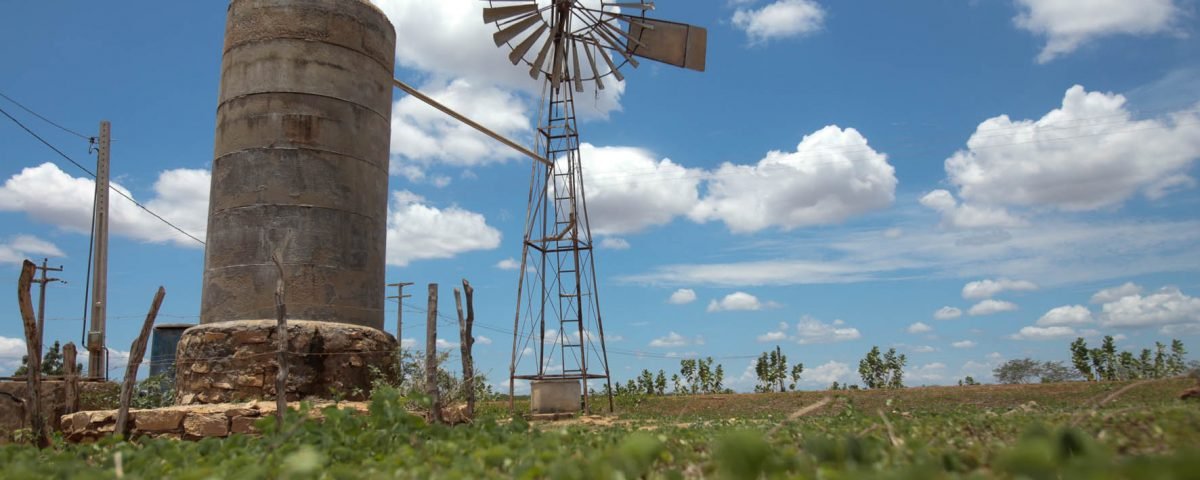 Juventude Rural: Edital São José Jovem investirá R$ 4,5 milhões em projetos de 300 jovens cearenses