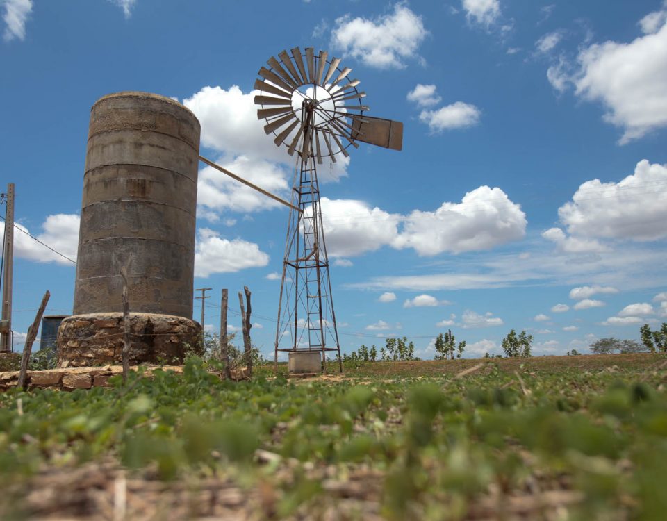 Juventude Rural: Edital São José Jovem investirá R$ 4,5 milhões em projetos de 300 jovens cearenses