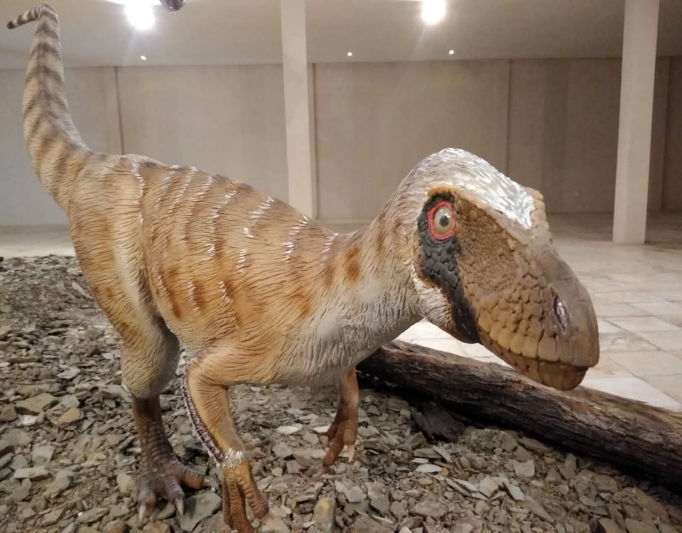 Turismo: Museu de Paleontologia Plácido Cidade Nuvens reabre no aniversário de 33 anos