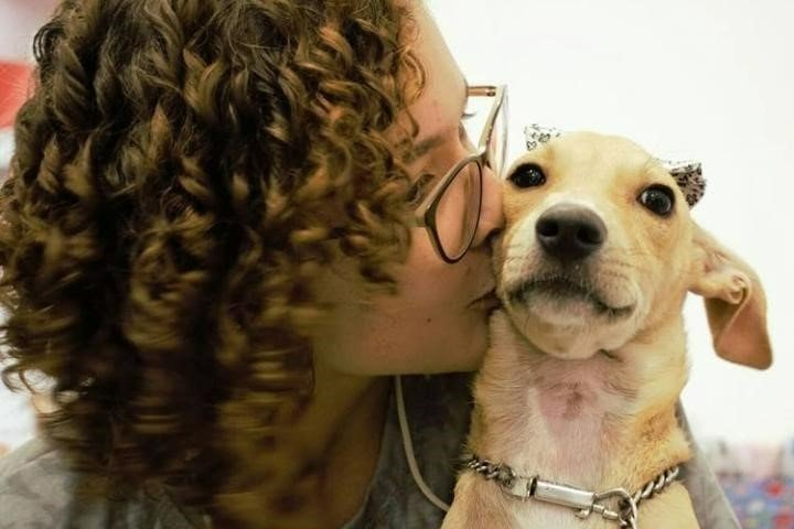 Shopping Parangaba promove 'Feira de Adoção de Pets'