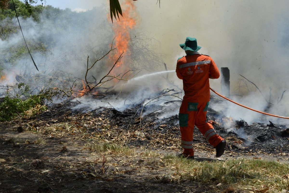 Assembleia aprova contratação de brigadistas temporários para combater incêndios no Ceará