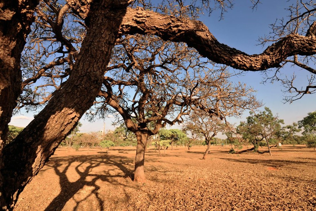 Meio Ambiente: eventos climáticos extremos têm influência humana, aponta Estudo da ONU