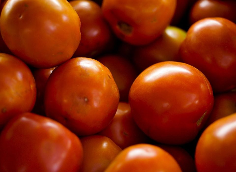 Preço da cesta básica sobe em 15 das 17 capitais do país pesquisadas