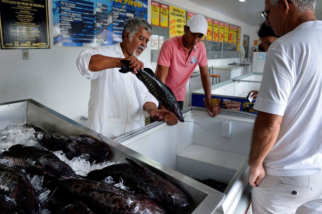 Saúde Pública: Doença “urina preta” pode estar relacionada a consumo de frutos do mar