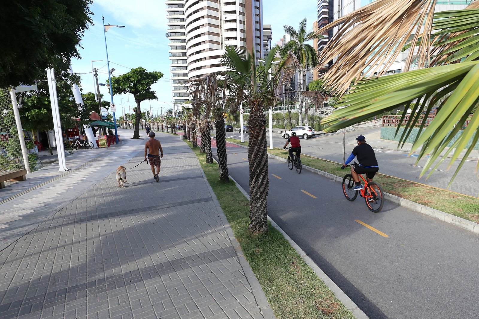 Dia Mundial sem Carro: pandemia de covid-19 reforça uso de transporte sustentável