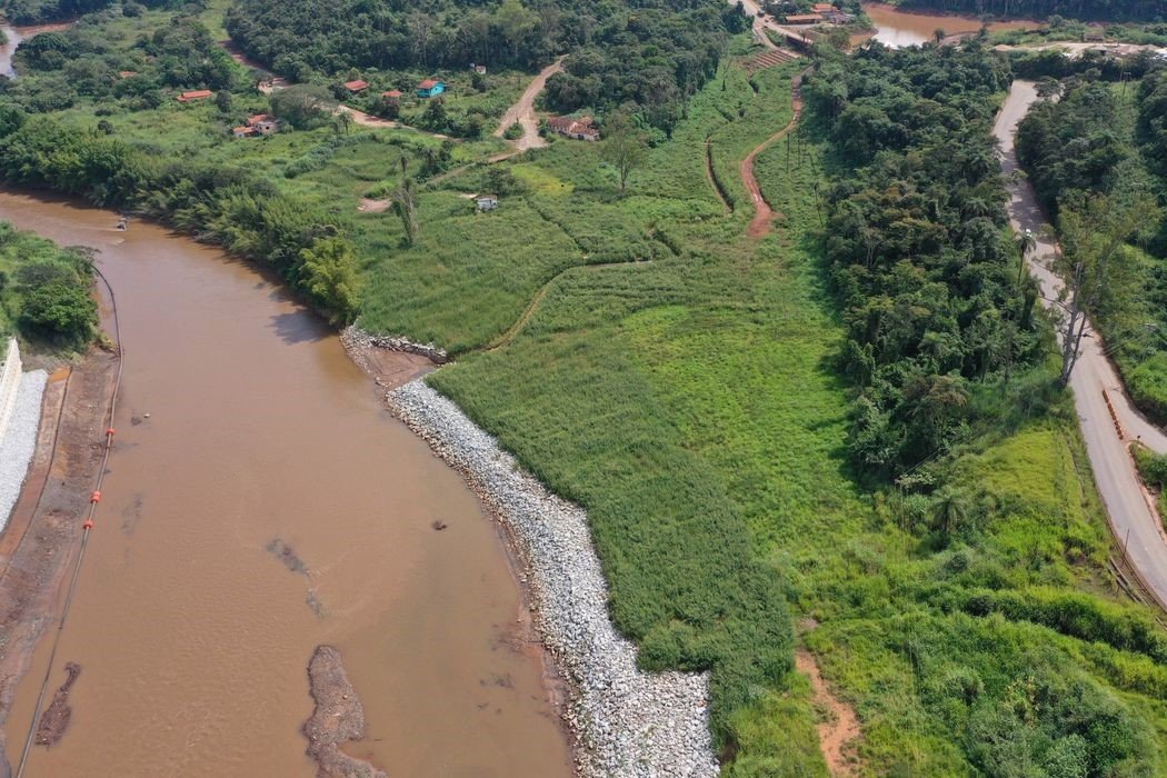 Meio Ambiente: Animais silvestres estão retornando à região de Brumadinho