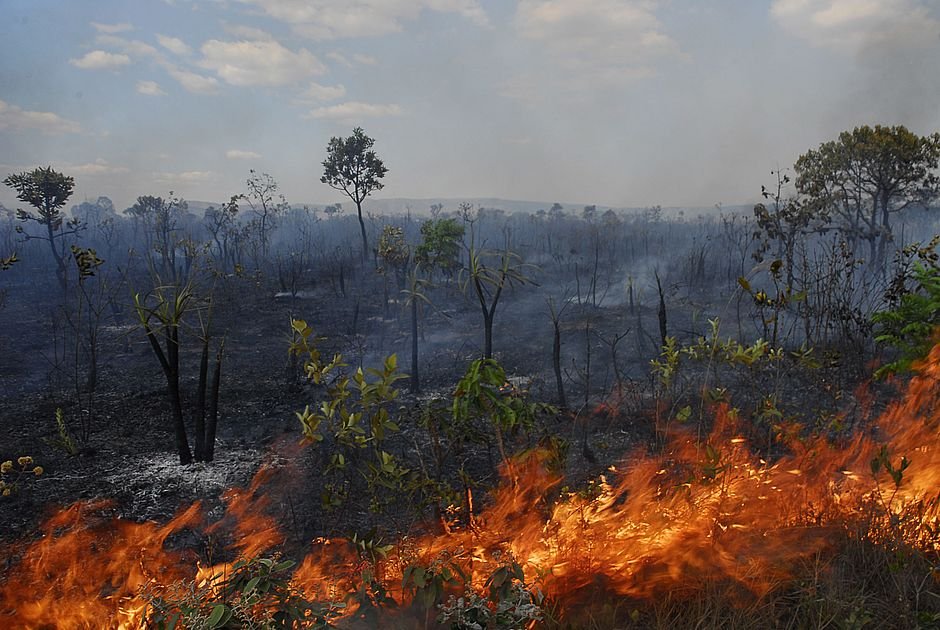 Parque em Chamas: Incêndio que ilhou turistas já percorre 20 km na região dos Veadeiros