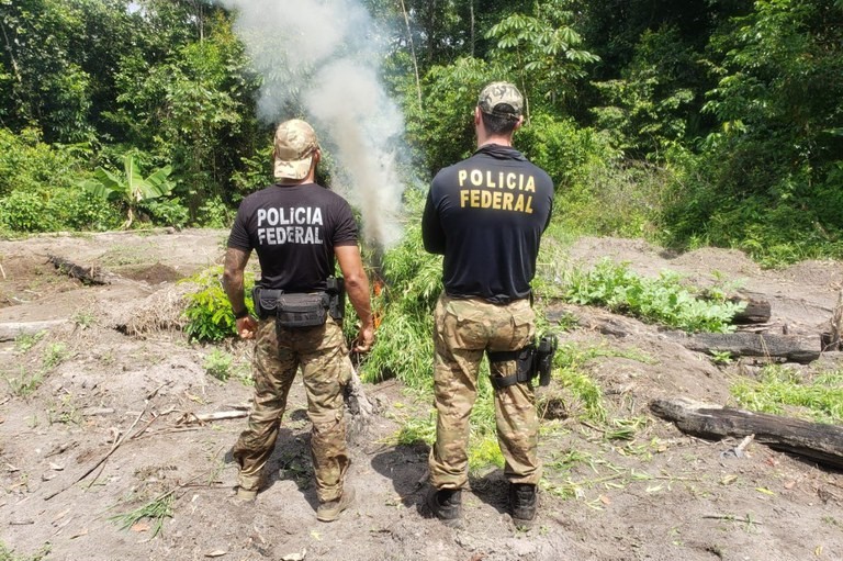 Combate às Drogas: Polícia Federal deflagra segunda fase da Operação Fusarium, no Estado do Pará