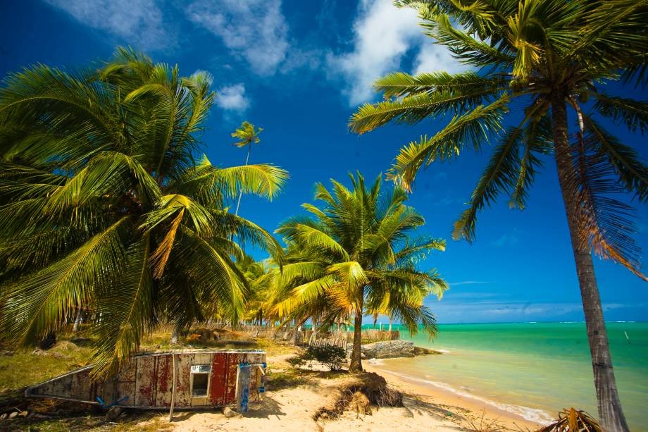 Bandeira Azul: Praias e Marinas do Brasil recebem certificação ambiental para a temporada de verão