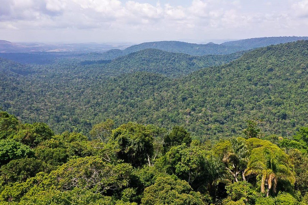 Recado à Nação: População de Manaus avalia que Floresta Amazônica em pé contribui para economia
