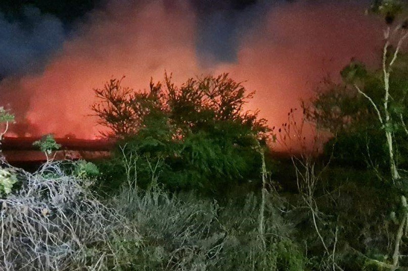 Chamas altas: Incêndio de grandes proporções atinge o Parque Ecológico do Cocó, em Fortaleza