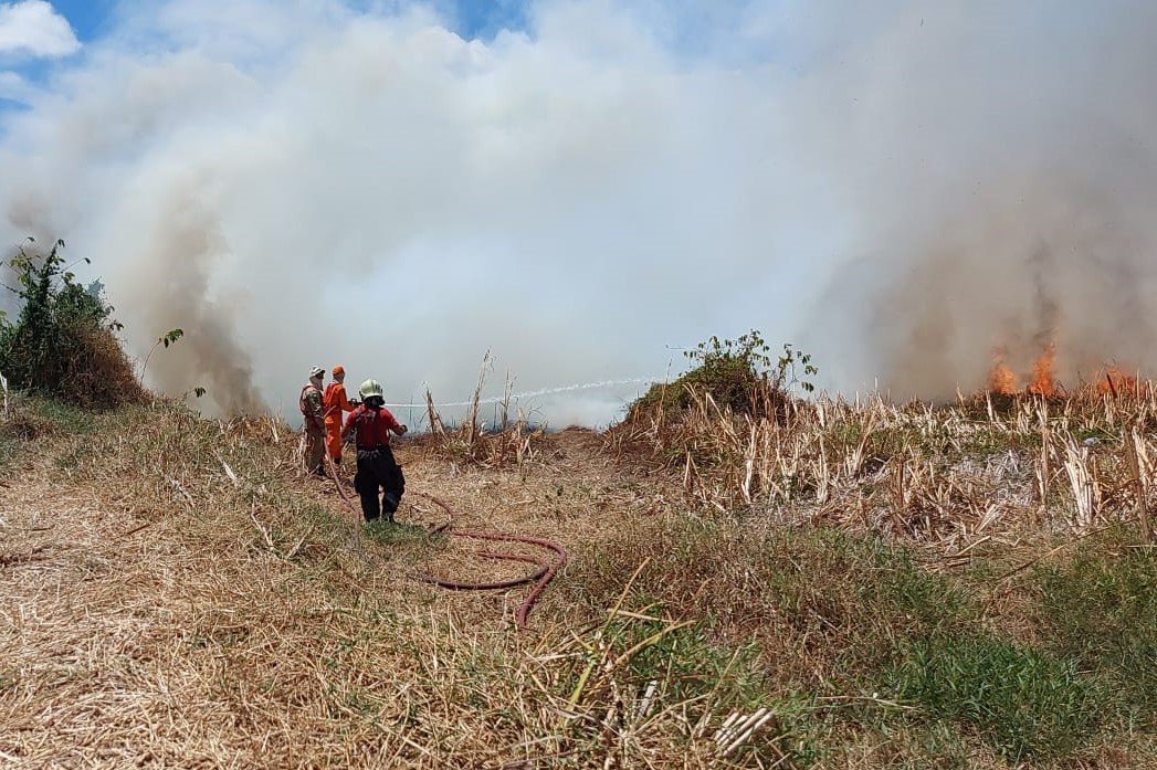 Incêndio no Cocó: Corpo de Bombeiros, Ciopaer e brigadistas florestais da SEMA combatem incêndio no Cocó