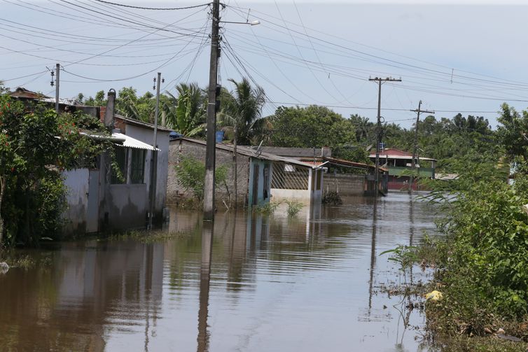 Bahia: Moradores de Ilhéus vivem drama no final de ano