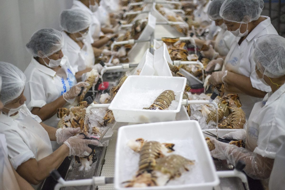 Negócios: Exportações do Ceará crescem 30% e chegam a US$ 2,7 bilhões em 2021