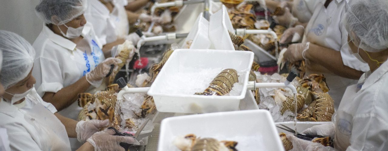 Negócios: Exportações do Ceará crescem 30% e chegam a US$ 2,7 bilhões em 2021