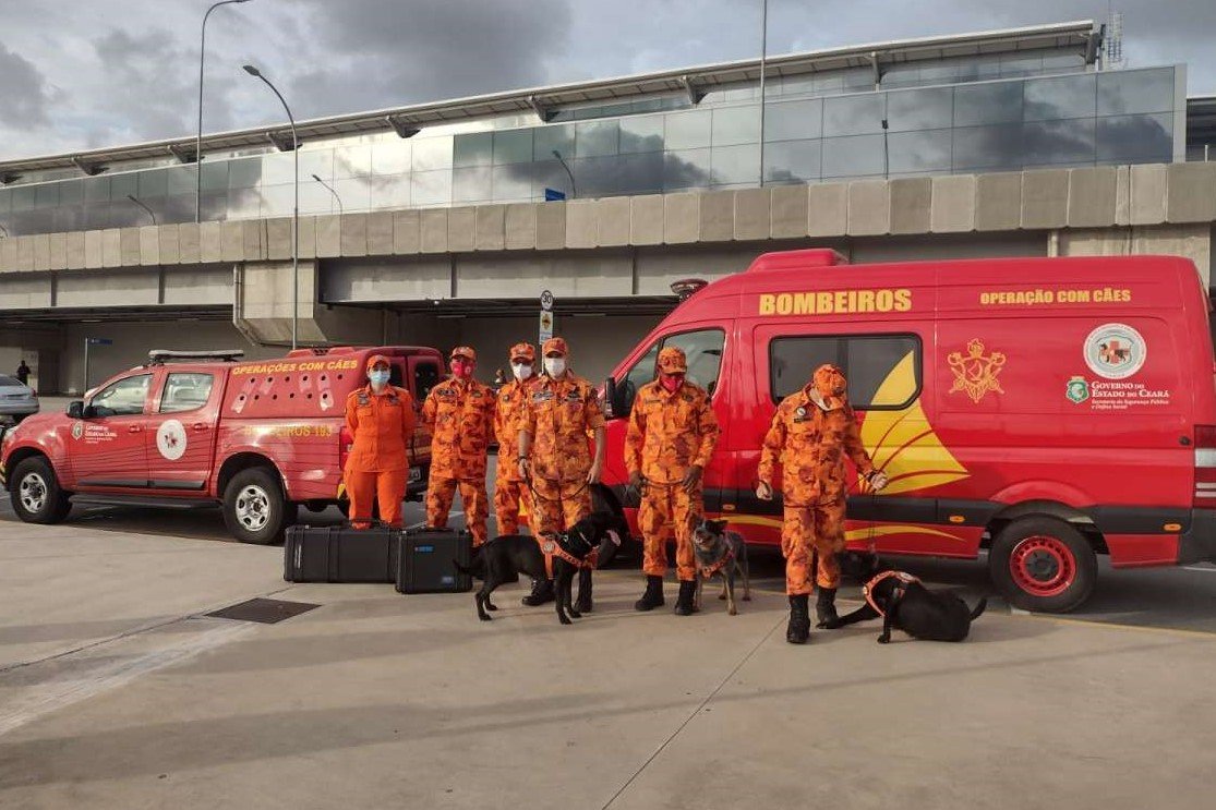Reforço: Corpo de Bombeiros do Ceará envia militares, cães e equipamentos ajudar nas buscas de Petrópolis (RJ)