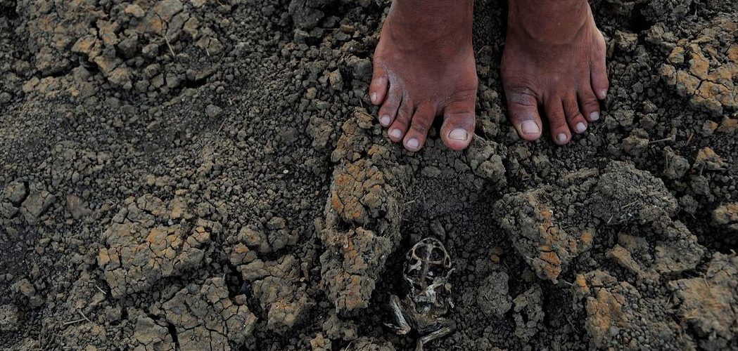 Decreto: 38 cidades brasileiras têm situação de emergência reconhecida pelo Governo Federal