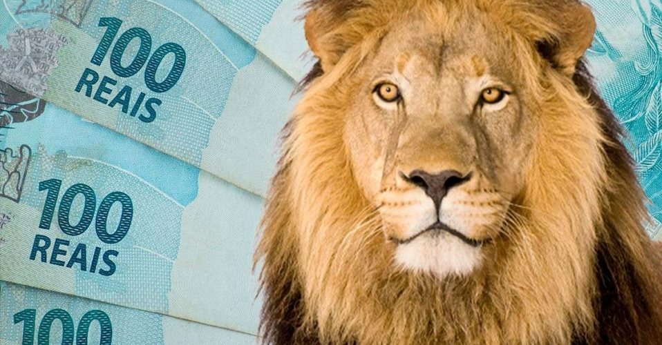 Economia: Especialista orienta sobre cuidados no preenchimento da declaração do Imposto de Renda