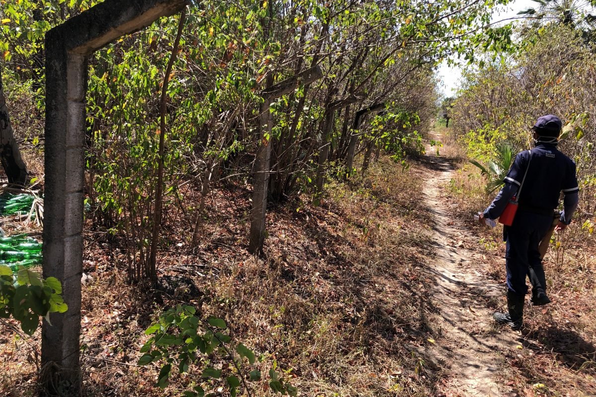 CoBAP apoia projeto de reflorestamento realizado pela Associação Caatinga na Fazenda Raposa