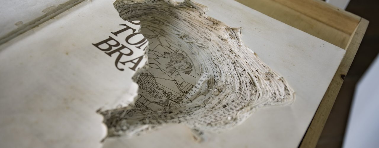 Cultura: Coleção de Arte Sesc Brasil reúne acervo de artes visuais com cerca de 5 mil obras