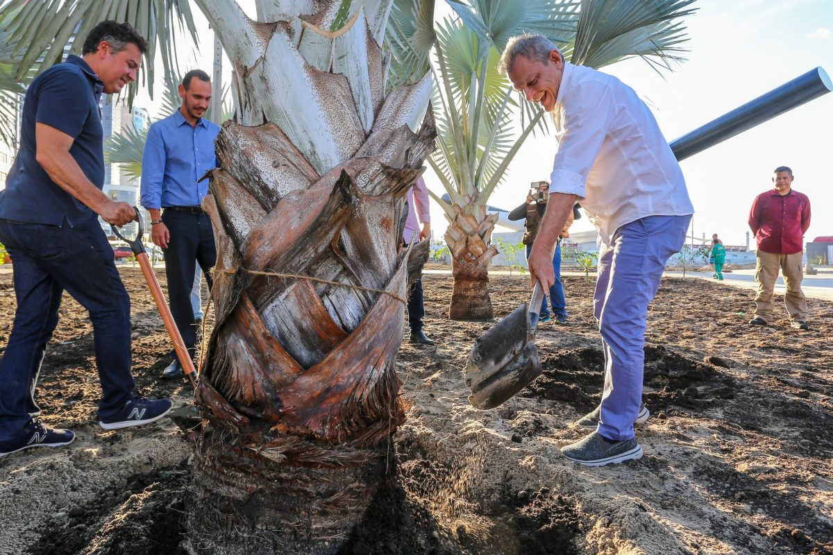 Paisagismo: Fortaleza ganha 5 mil árvores de grande porte em vias e obras públicas