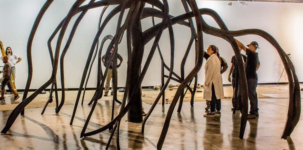 Cultura: Centenário de Frans Krajcberg é celebrado com exposição no MuBE