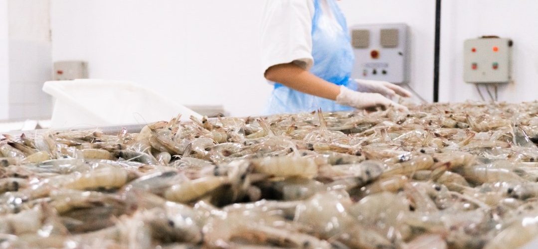 Gastronomia: Com produção local e variedade de pratos, camarão conquista paladar dos cearenses