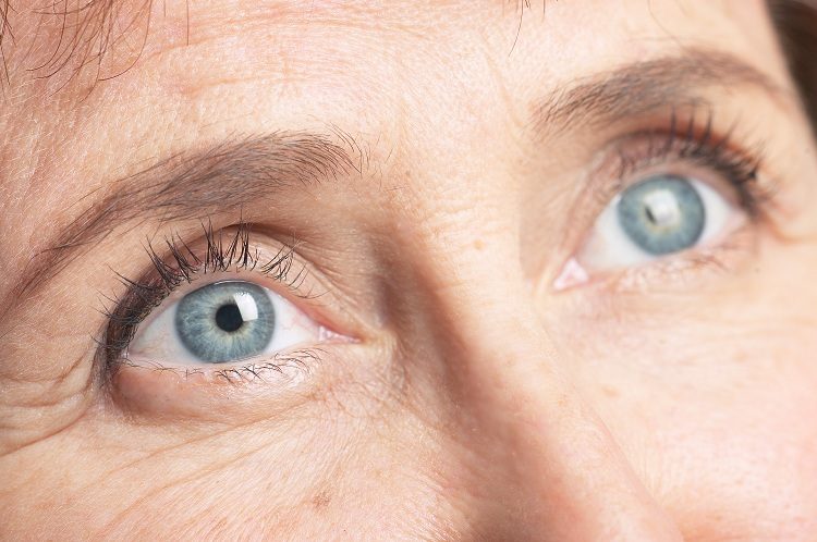 Saúde: Instituto Olhar realiza 12º Encontro dos Portadores de Glaucoma