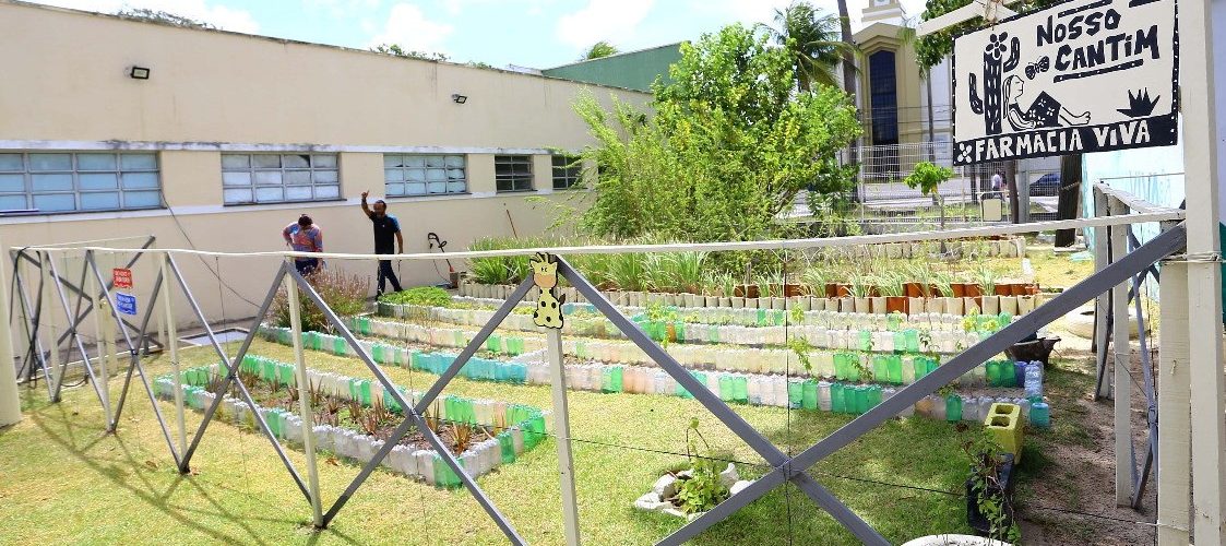 Saúde: Projeto Farmácias Vivas distribui medicamentos fitoterápicos em Fortaleza