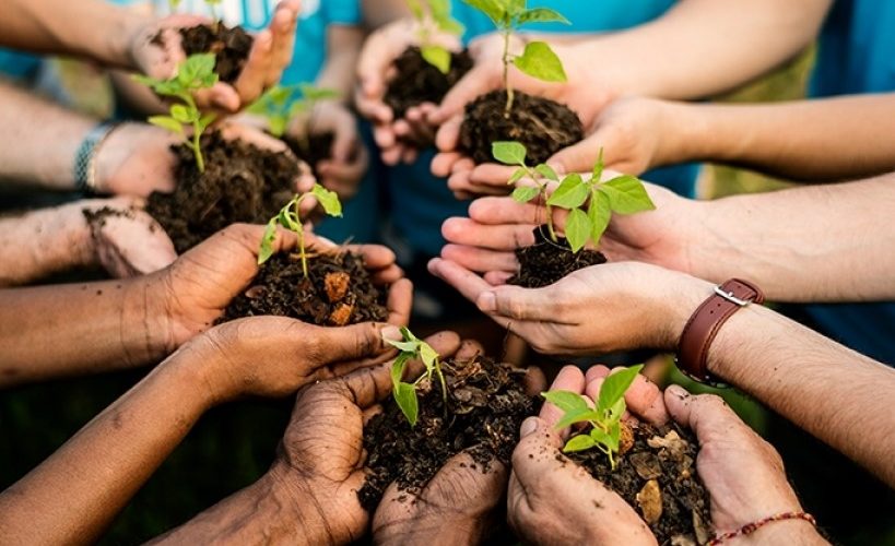 Opinião: A luta ambiental não comporta mais o meio termo