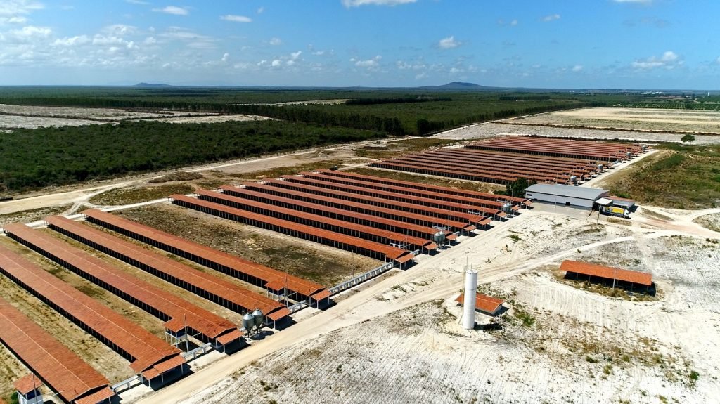 Tijuca Alimentos