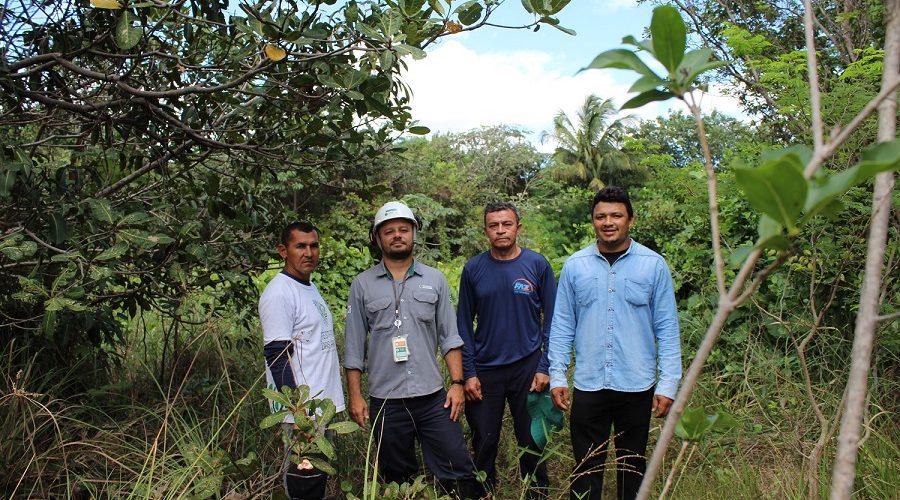 Meio Ambiente: Programa de Reflorestamento da CSP salva espécie, gera livro e se torna referência