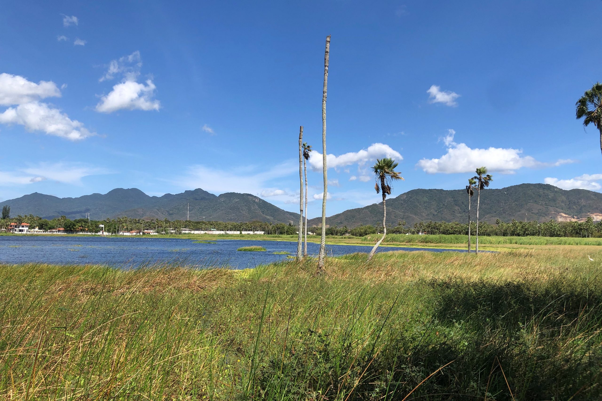 Meio Ambiente: Durametal é a nova parceira da Associação Caatinga