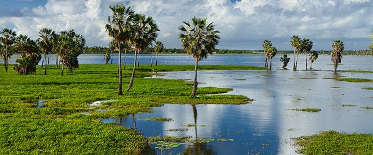 A Lagoa da Precabura será transformada em uma Unidade de Conservação (UC) estadual. | Foto: Divulgação
