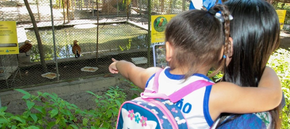 Lazer: Período de férias em Fortaleza chega com atrações para todas as idades