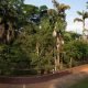 De Volta: Após dois anos, Parque da Ciência Butantan reabre ao público
