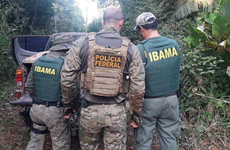 Onipresente: PF apreende veículos carregados com madeira extraída de forma ilegal no Mato Grosso