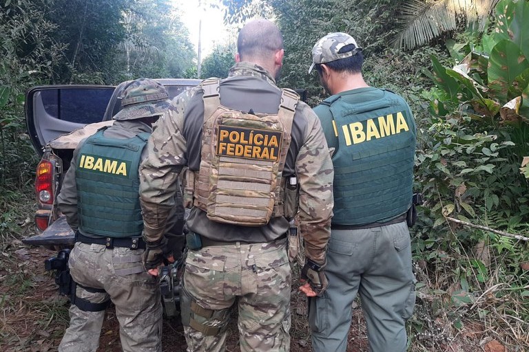 Onipresente: PF apreende veículos carregados com madeira extraída de forma ilegal no Mato Grosso