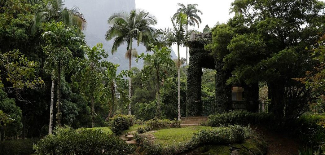 Cultura: Acervo fotográfico do Jardim Botânico do Rio será revitalizado