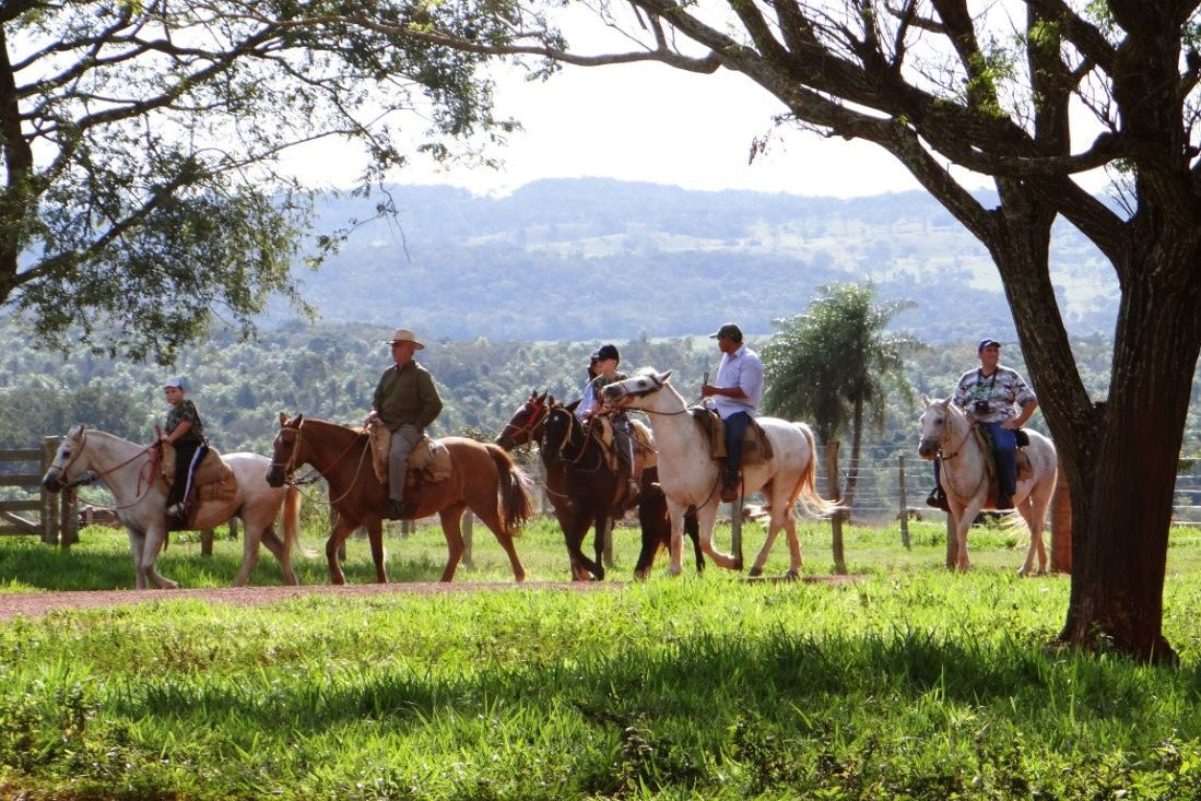 Turismo equestre: Conheça rotas para andar a cavalo no Brasil