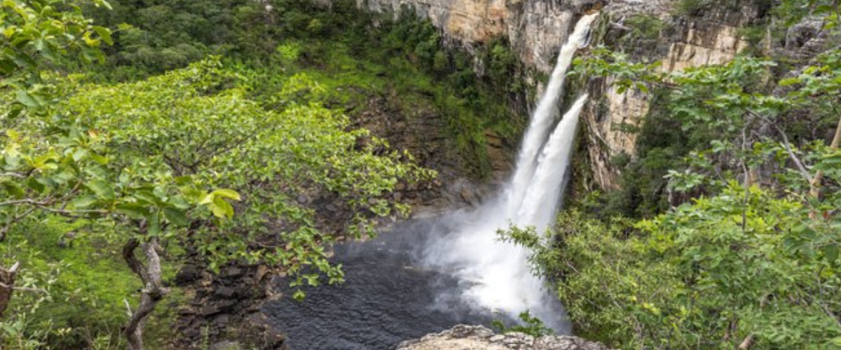 Contato com a natureza é um dos grandes atrativos dos parques.| Foto: Augusto Miranda