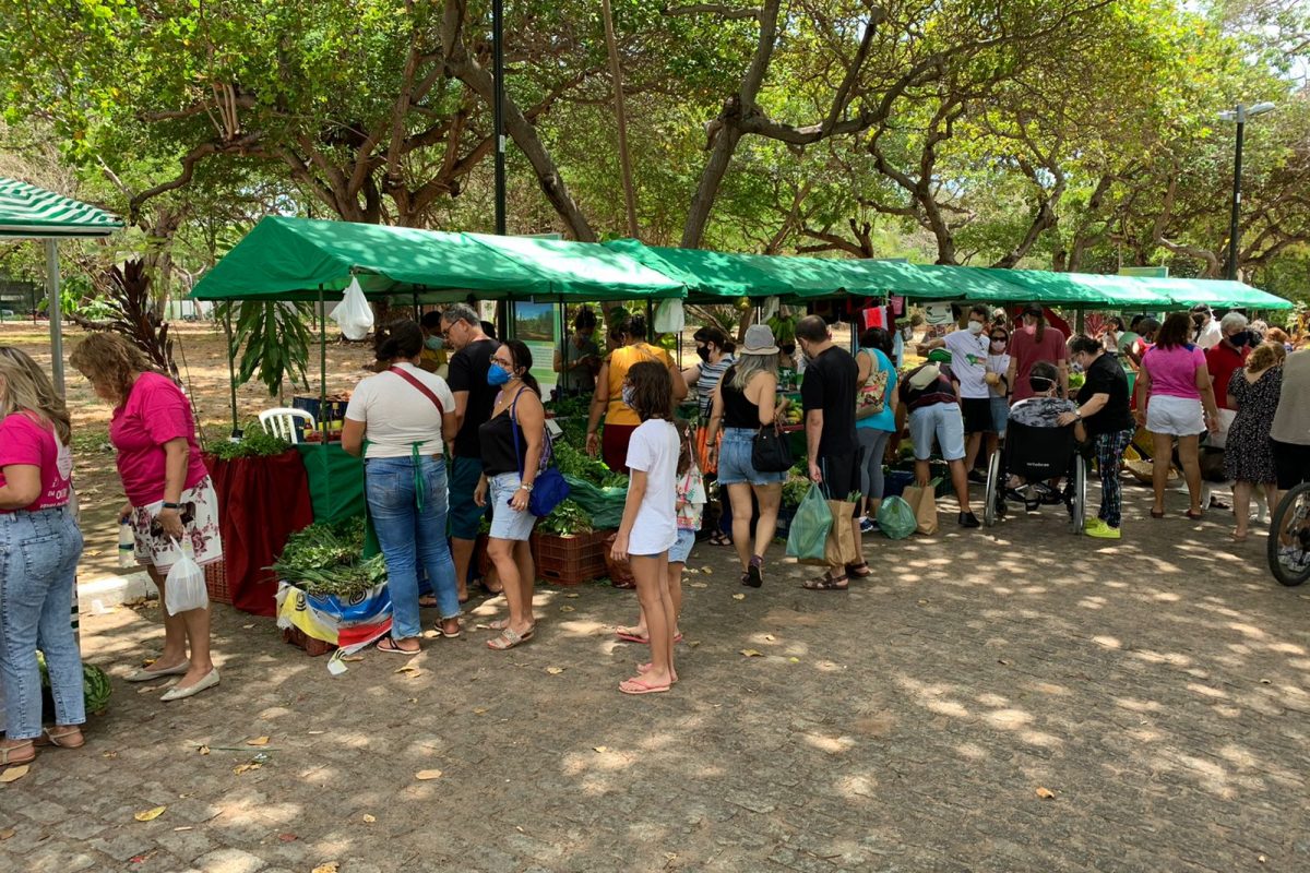 A iniciativa é resultado de uma parceria inédita entre a SEMA, a Secretaria de Administração Penitenciária (SAP) e a Fundação Cepema. | Foto: Divulgação/Sema