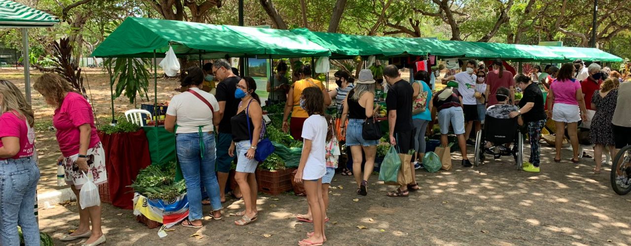 A iniciativa é resultado de uma parceria inédita entre a SEMA, a Secretaria de Administração Penitenciária (SAP) e a Fundação Cepema. | Foto: Divulgação/Sema