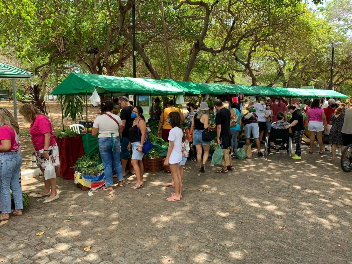 A iniciativa é resultado de uma parceria inédita entre a SEMA, a Secretaria de Administração Penitenciária (SAP) e a Fundação Cepema. | Foto: Divulgação/Sema