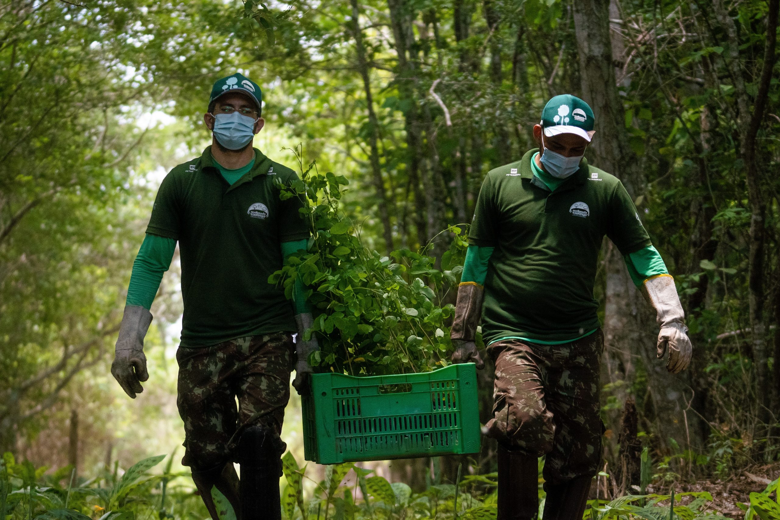Liga da Caatinga: Associação Caatinga abre vagas para voluntários com atividades presenciais e remotas