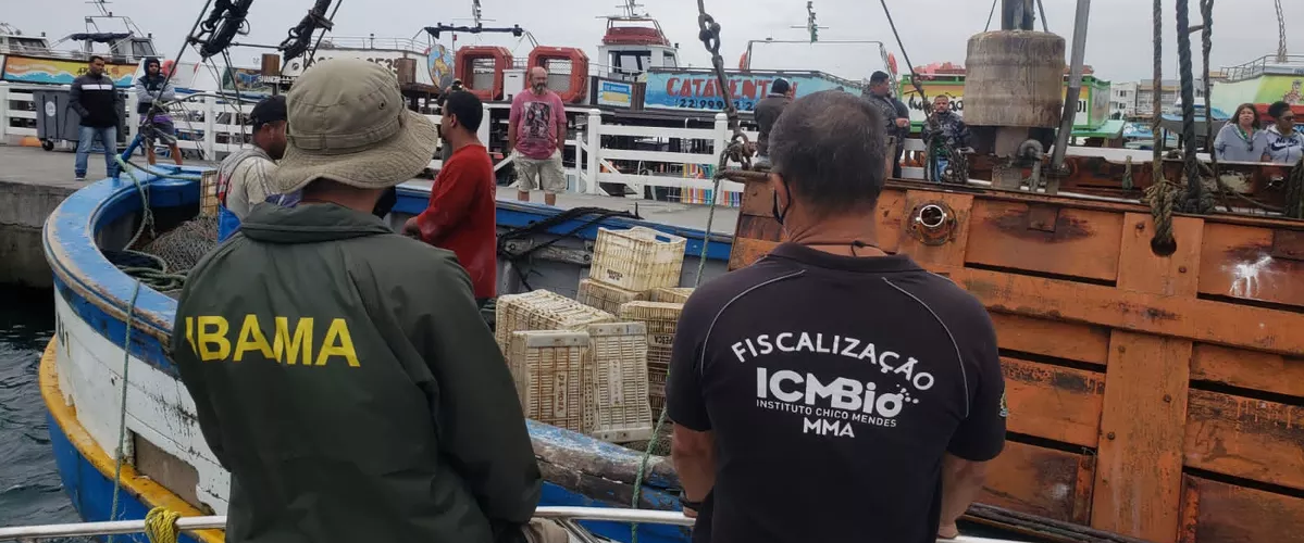 Fiscalização: PF e ICMBio apreendem 200 kg de pescados proibidos em Arraial do Cabo