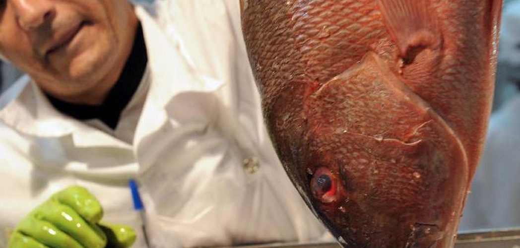 Consumidor: Semana do Pescado quer criar nova temporada de consumo no 2º semestre