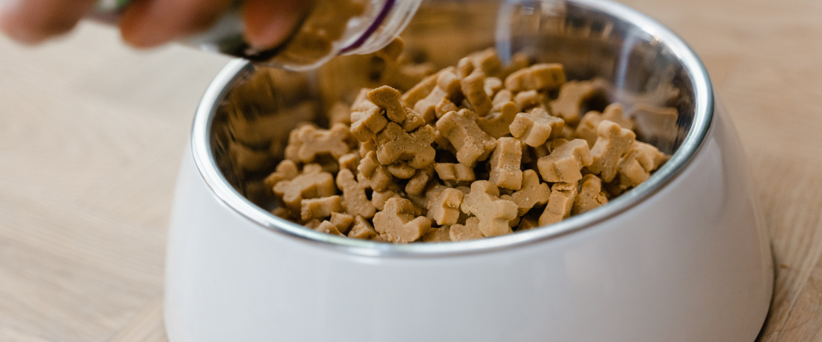 O aviso se deu em função dos altos casos de intoxicação e morte de cães que vêm ocorrendo em todo o Brasil, após o consumo de petiscos contaminados. | Foto: Reprodução