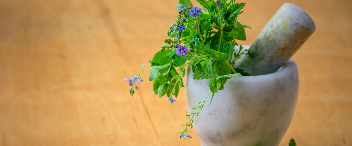 As plantas podem ser utilizadas, apesar de não haver eficácia comprovada. | Foto: Reprodução
