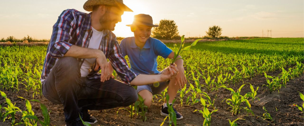 A estimativa é que no Estado tenha aproximadamente 1,4 milhão de agricultores integrando unidades familiares de produção rural. | Foto: Divulgação